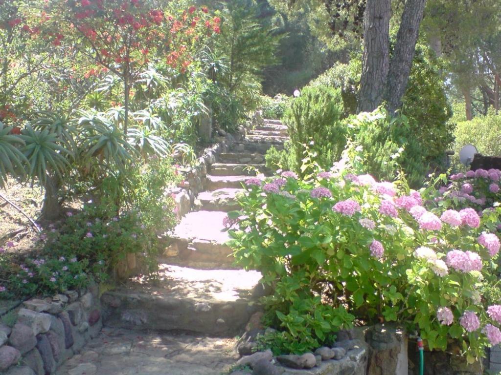 Auberge Ferayola Galeria  Εξωτερικό φωτογραφία
