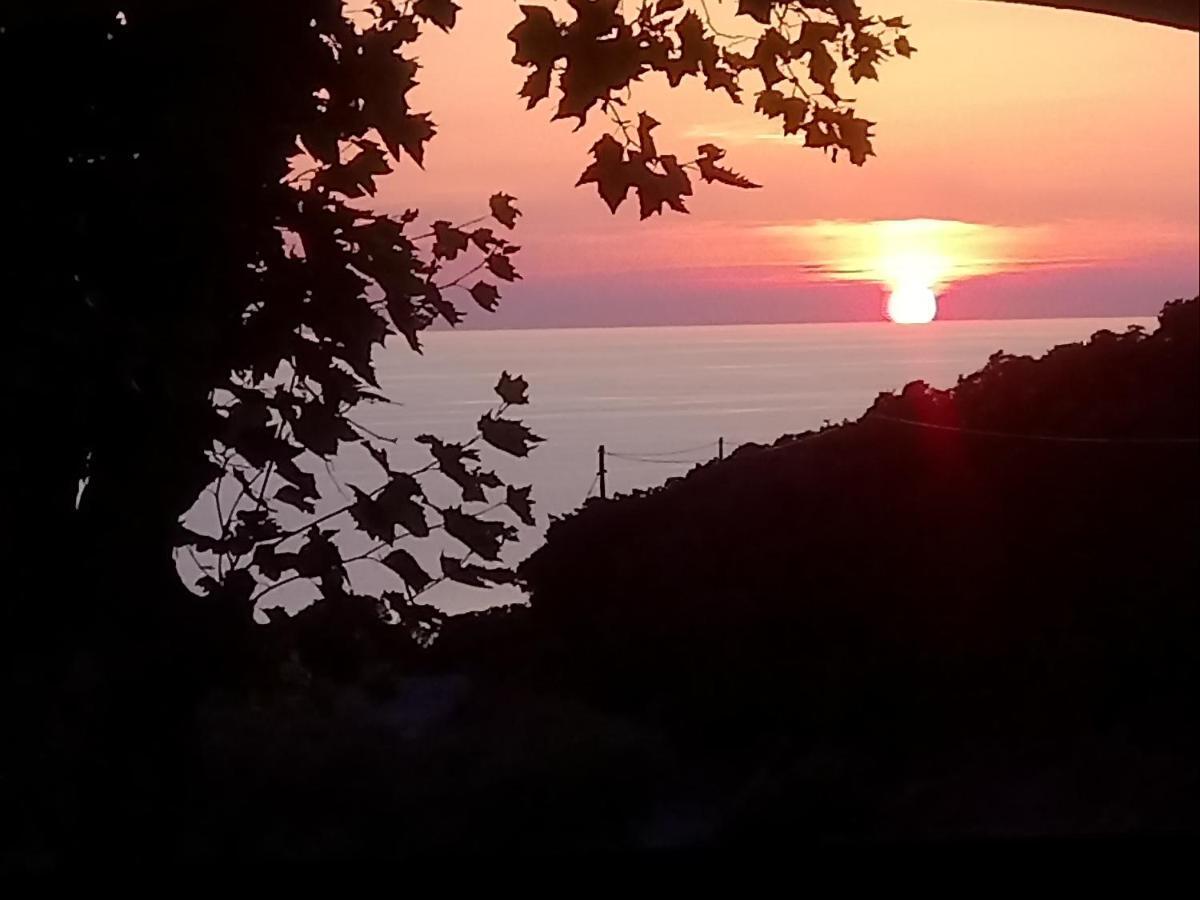 Auberge Ferayola Galeria  Εξωτερικό φωτογραφία